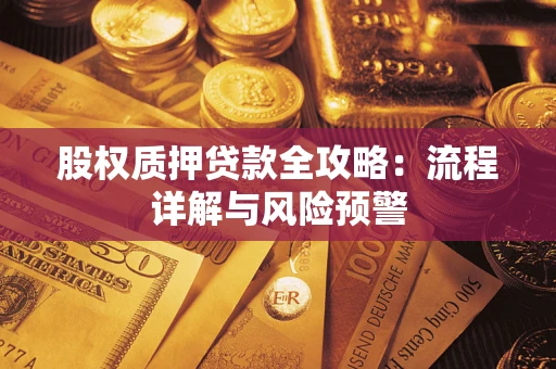 武汉股权质押贷款全攻略：流程详解与风险预警