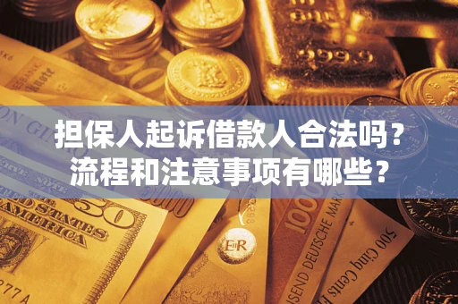 武汉担保人起诉借款人合法吗？流程和注意事项有哪些？