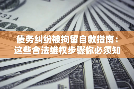 武汉债务纠纷被拘留自救指南：这些合法维权步骤你必须知道！
