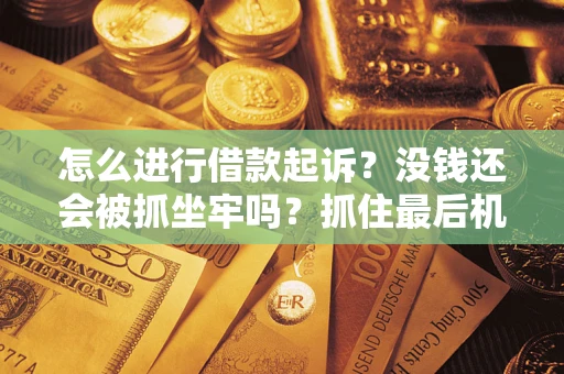 武汉怎么进行借款起诉？没钱还会被抓坐牢吗？抓住最后机会！