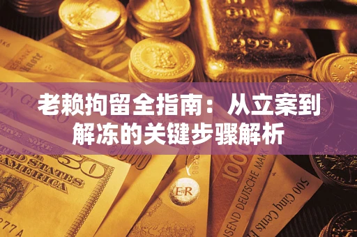 武汉老赖拘留全指南：从立案到解冻的关键步骤解析
