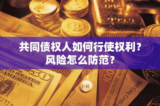 武汉共同债权人如何行使权利？风险怎么防范？