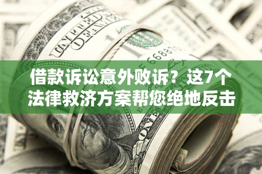 武汉借款诉讼意外败诉？这7个法律救济方案帮您绝地反击！