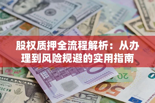 武汉股权质押全流程解析：从办理到风险规避的实用指南