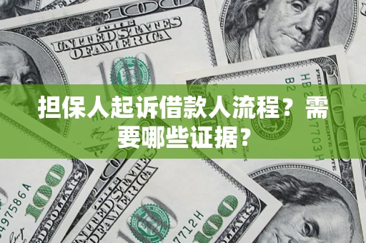 武汉担保人起诉借款人流程？需要哪些证据？