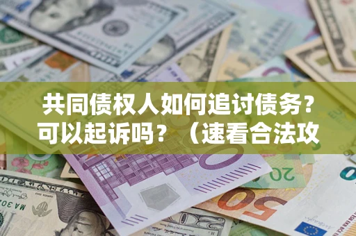 武汉共同债权人如何追讨债务？可以起诉吗？（速看合法攻略）