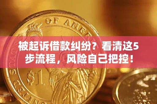 武汉被起诉借款纠纷？看清这5步流程，风险自己把控！