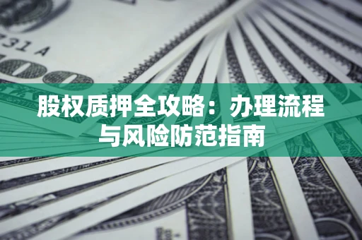 武汉股权质押全攻略：办理流程与风险防范指南