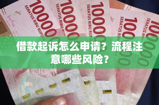 武汉借款起诉怎么申请？流程注意哪些风险？