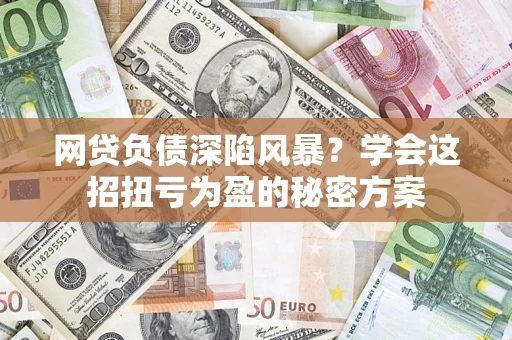 武汉网贷负债深陷风暴？学会这招扭亏为盈的秘密方案