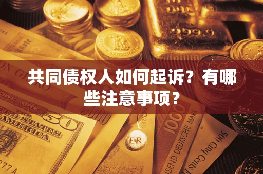 武汉共同债权人如何起诉？有哪些注意事项？